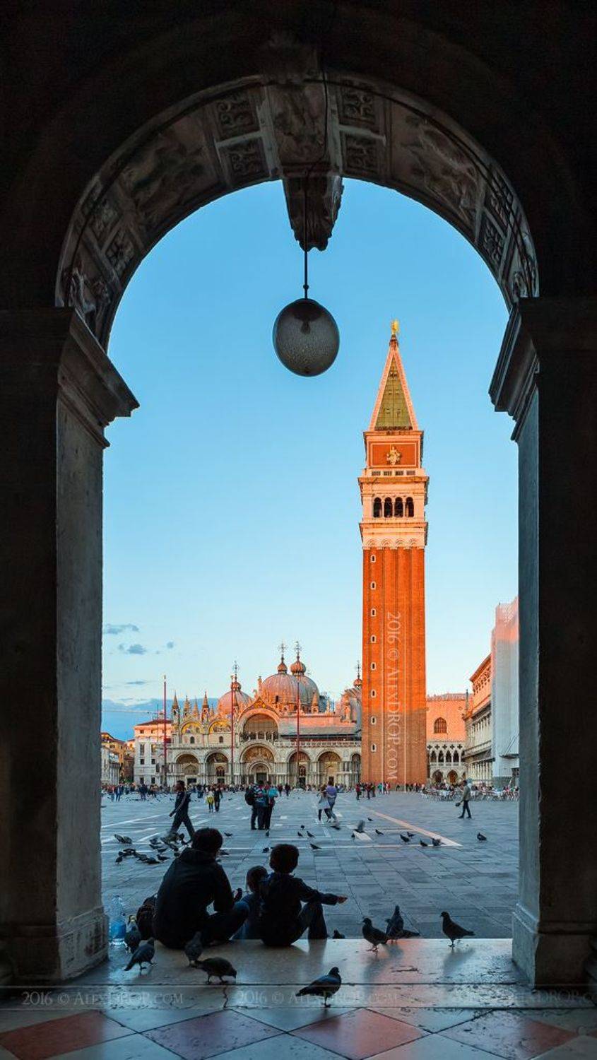 Когда голубей кормить нельзя, но все это делают. И ради этого приезжают в Венецию!. Автор: AlexDROP , AlexDROP