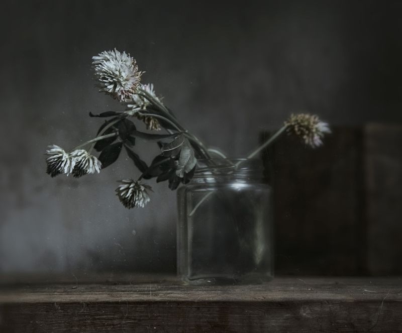 клевер, стекло, растение С клеверомphoto preview