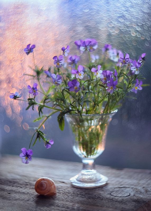 букет фиалки натюрморт цветы На рассветеphoto preview