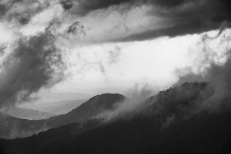 2020 фото превью