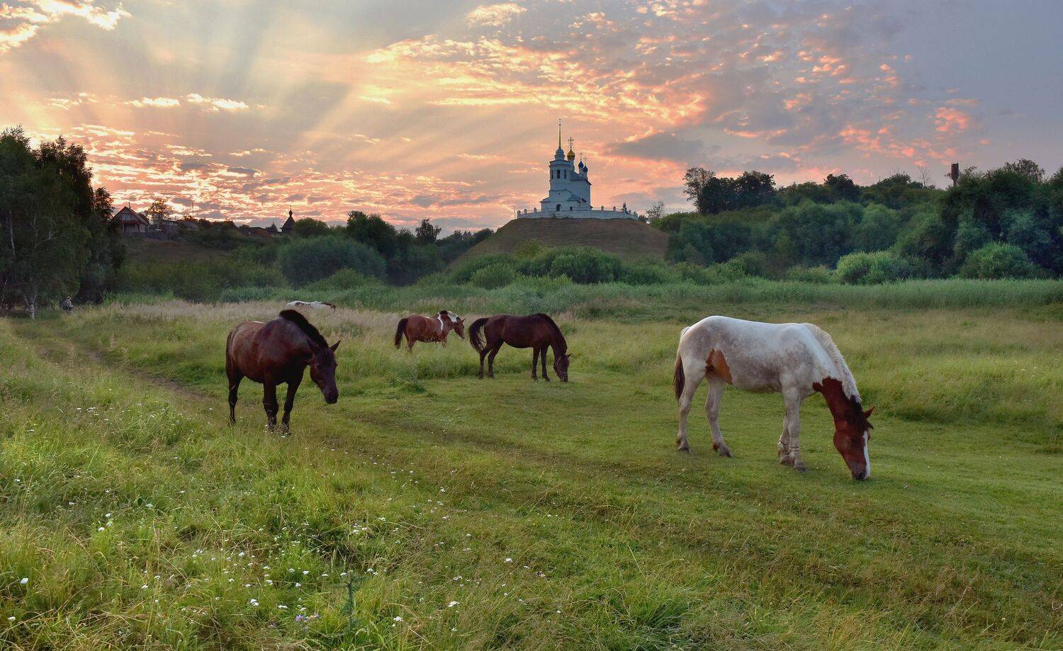 , Макеев Алексей