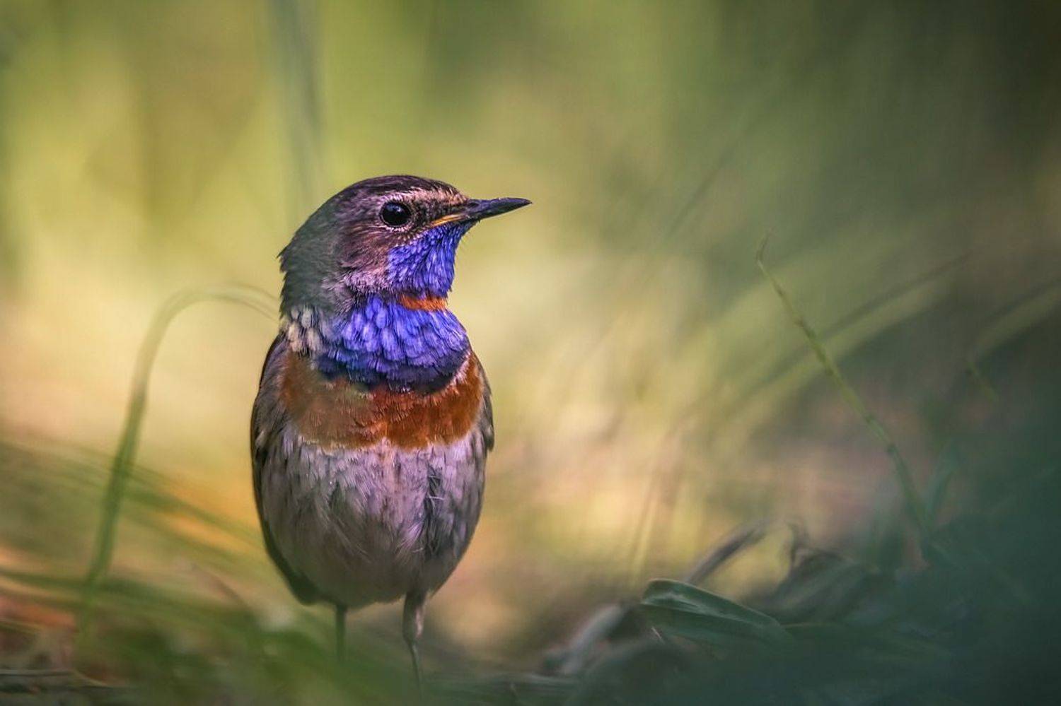 , Вячеслав Мищенко