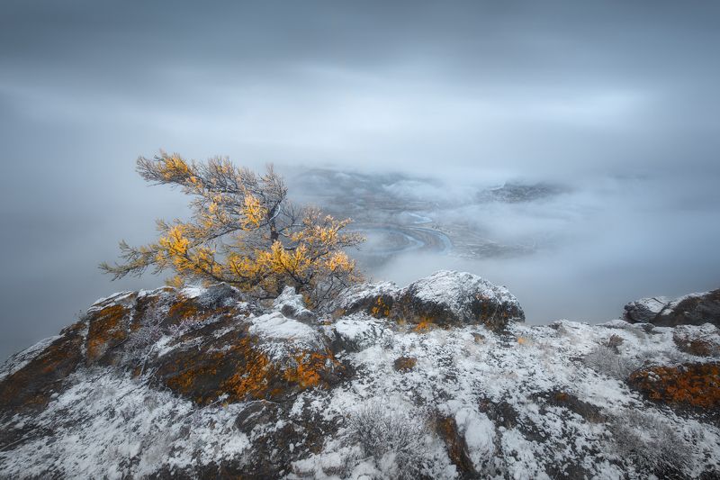 алтай, туман Дыхание зимыphoto preview