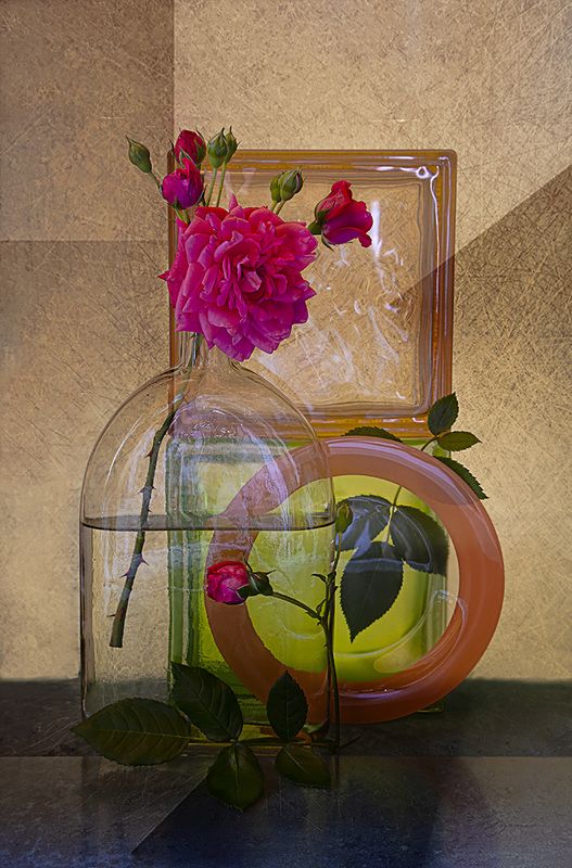 роза Королева цветов.photo preview