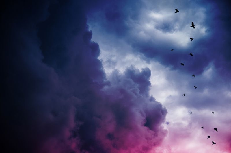 sky Coming home фото превью