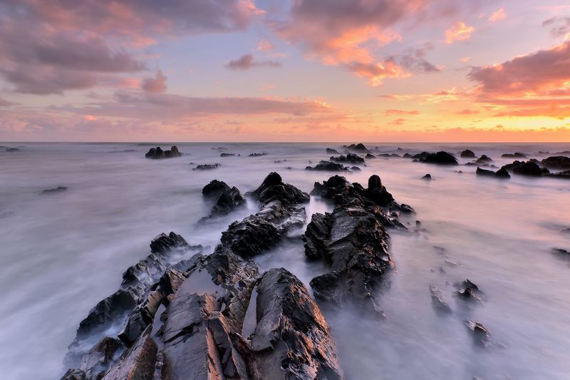 Color of Naturephoto preview