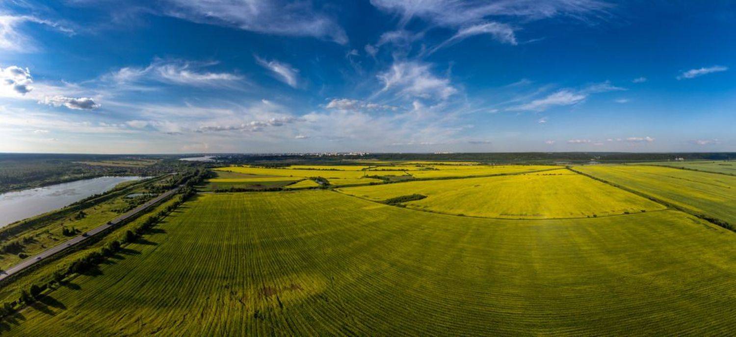 , Сергей Ларин