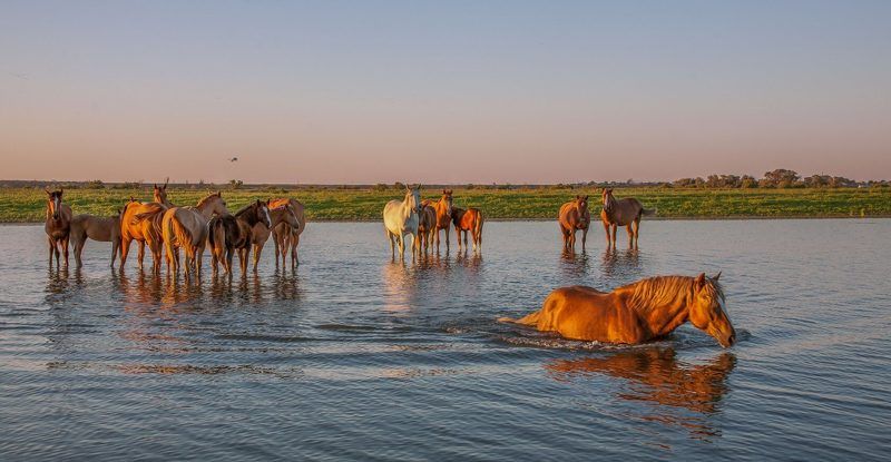 Атраханская обл  Лиманский район Переправаphoto preview
