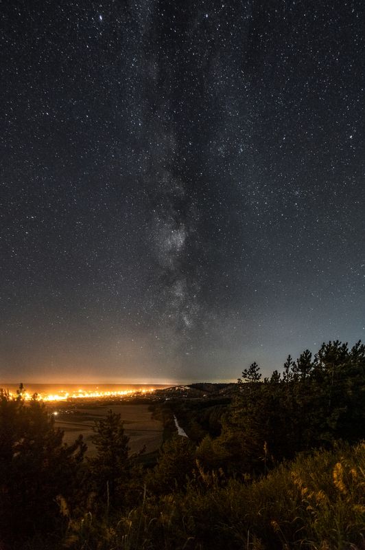 бекарюковский бор, млечный путь, bekaryukovsky forest, milky way Бекарюковский бор.photo preview