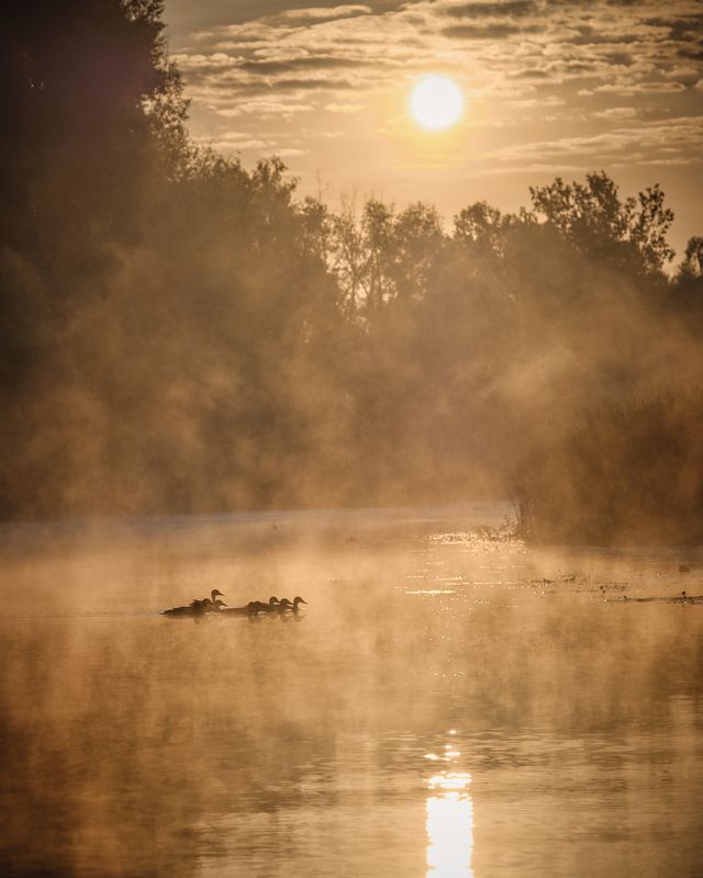 Утренний туманphoto preview