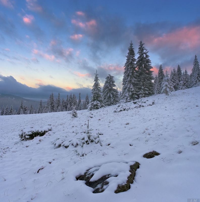 горы, снег, утро, елки, облака, пейзаж, карпаты, черногора, полонына, туркул, осень, путешествие, morning, autumn, landscape, carpathian mountains, trees, snow, stone, clouds, light, sky, cold, travel, carpathians, turkul, valley ***photo preview