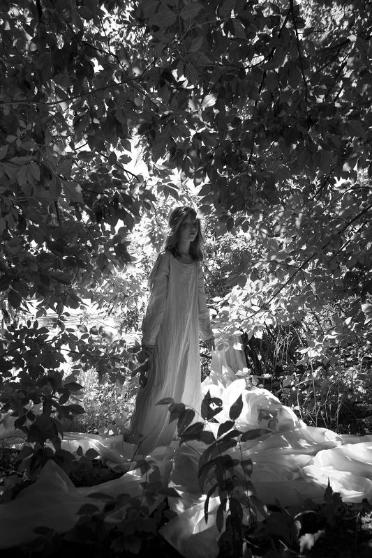 По коротким строкам...photo preview