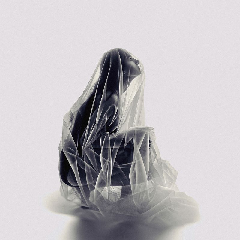 WOMAN,MODEL,GIRL,FACE,DARK,LIGHT,SHADOW,EYES,PERSON,EMOTION,FEELING,FEMALE,SILHOUETTE,TULLE,VEIL,PORTRAIT,CHRYSALIS,BUTTERFLY,GRAPHIC The Chrysalisphoto preview