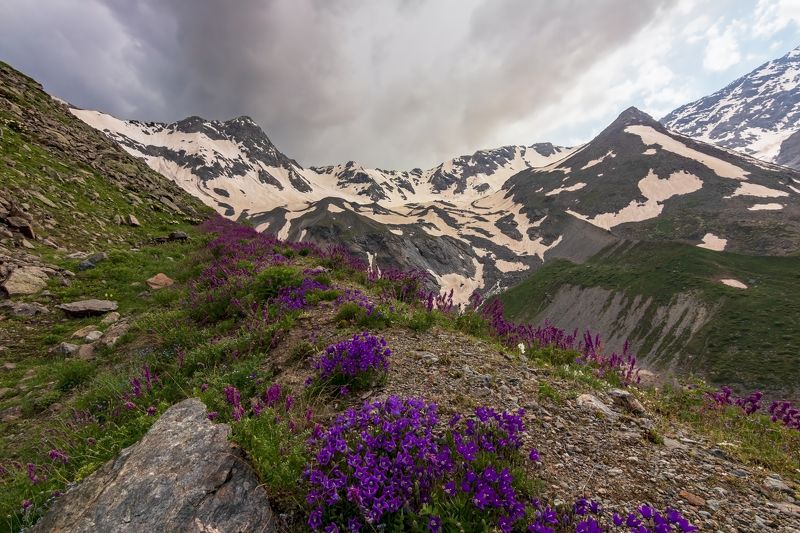 горы, альпинизм, кавказ, ледники горные колокольчики...photo preview