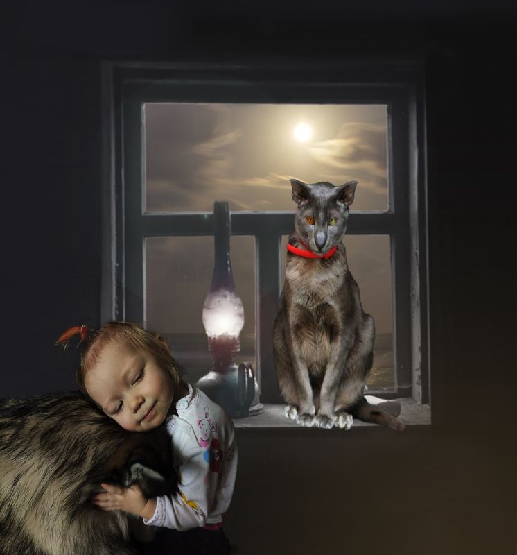 Добрый серенький волчокphoto preview