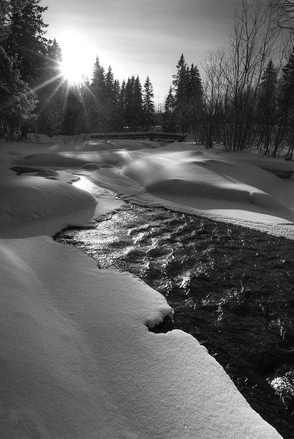 В феврале. Автор: Виктор карелия, Виктор