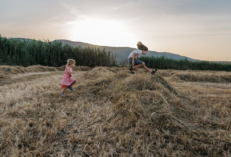 Степьphoto preview