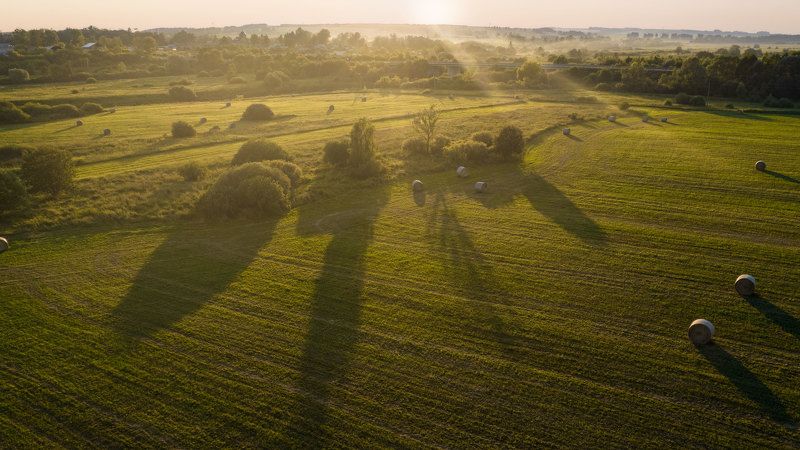 Бескрайние поляphoto preview