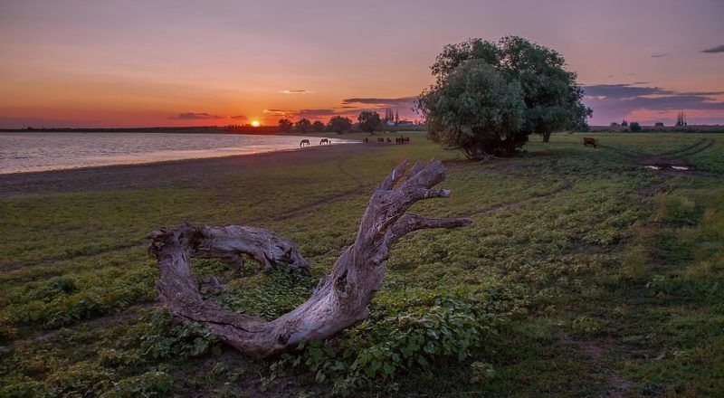 астраханская, обл, , лиманский, район ЛАДЬЯ   ( после половодья )photo preview