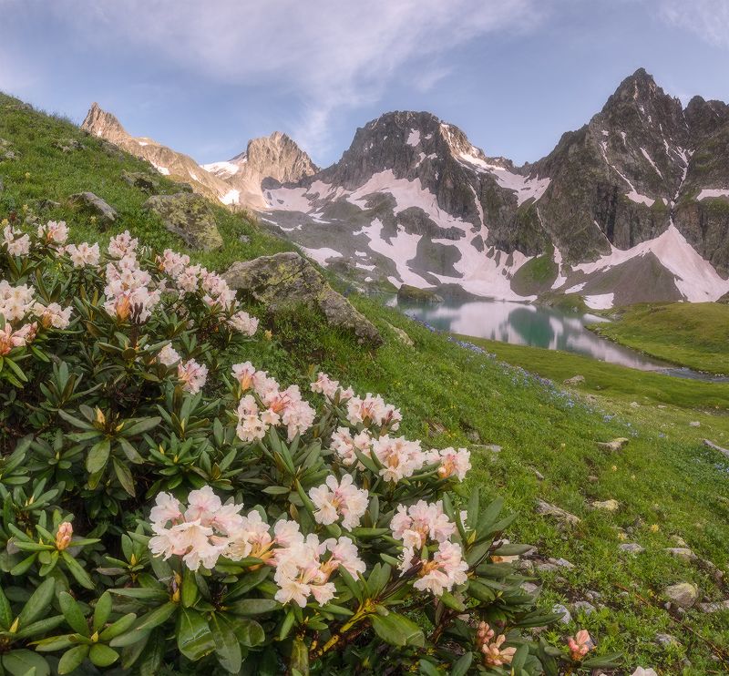 западный кавказ, карачаево-черкесия, заповедник, имеретинка, озеро, родолендроны, июль, вечер Карачаево-Черкесия. Имеретинкаphoto preview