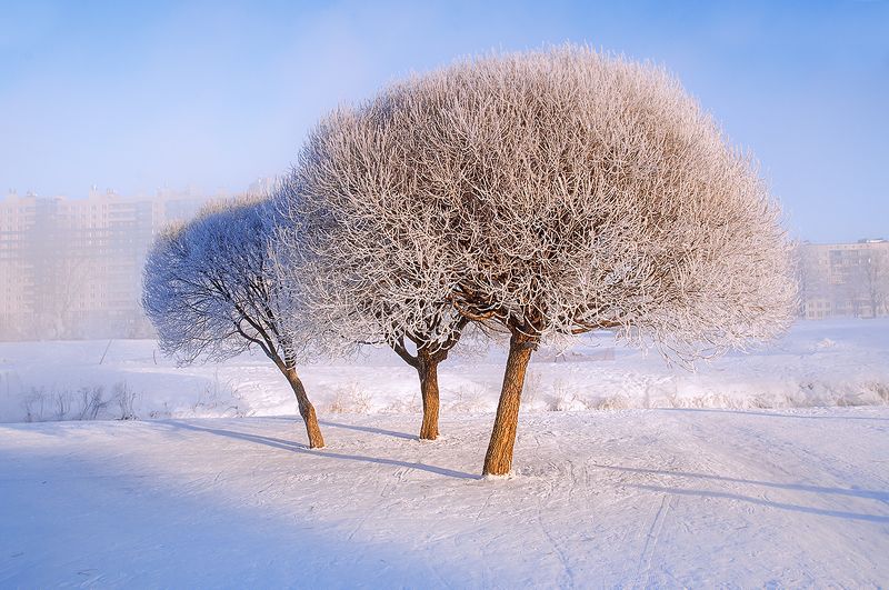 морозец Вспомнилось...photo preview