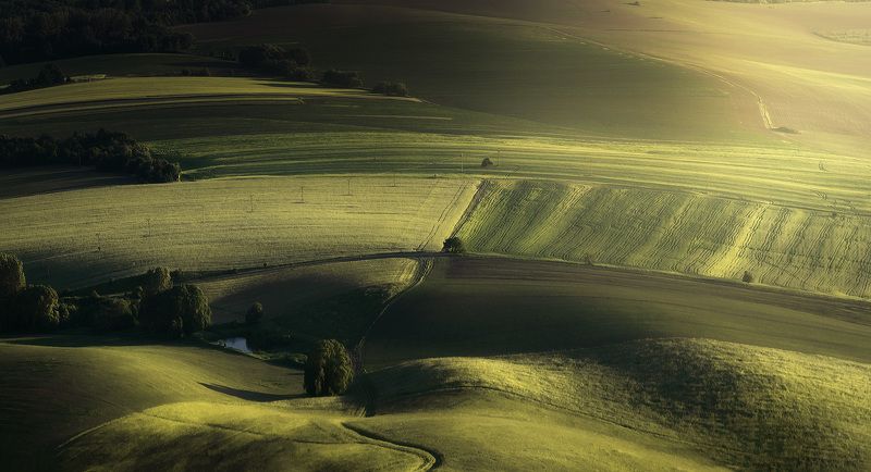 Green land photo preview