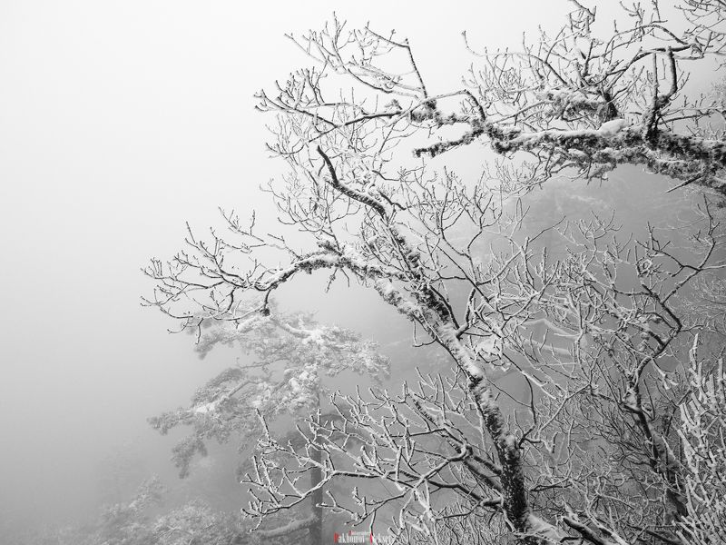 winter, nature, snow, fog, Russia, Crimea Winter Mysteryphoto preview