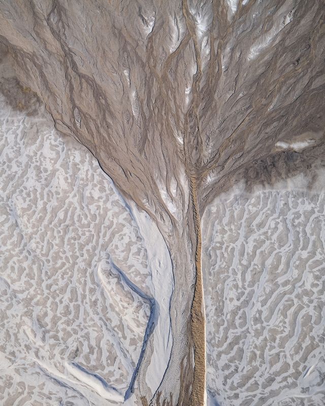 Дерево из воды и пескаphoto preview