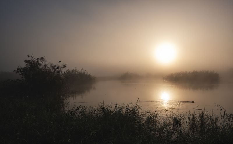 Dawn Beaverphoto preview