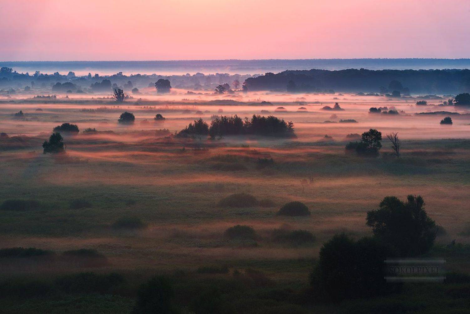На рассвете. Автор: Андрей Cоколов , Андрей Cоколов