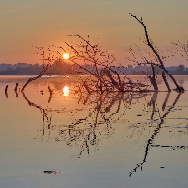 Восход над рекойphoto preview