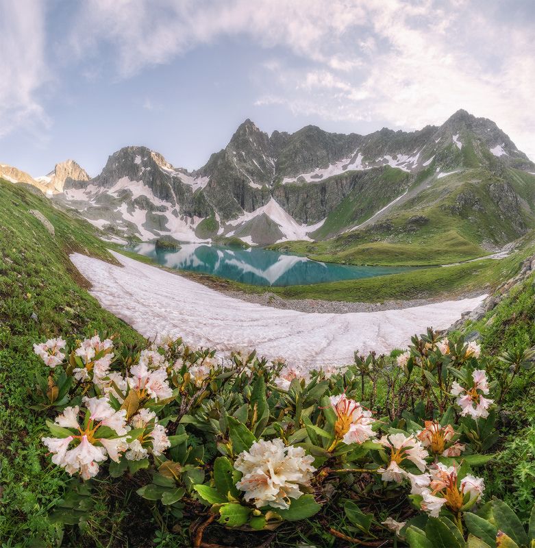 западный кавказ, имеретинка, озеро безмолвия, рододендроны, Имеретинкаphoto preview