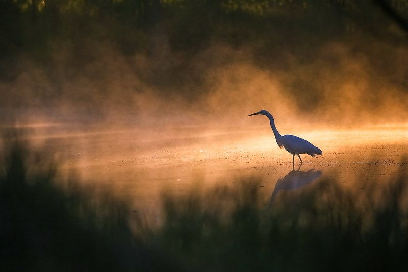 Рассветнаяphoto preview