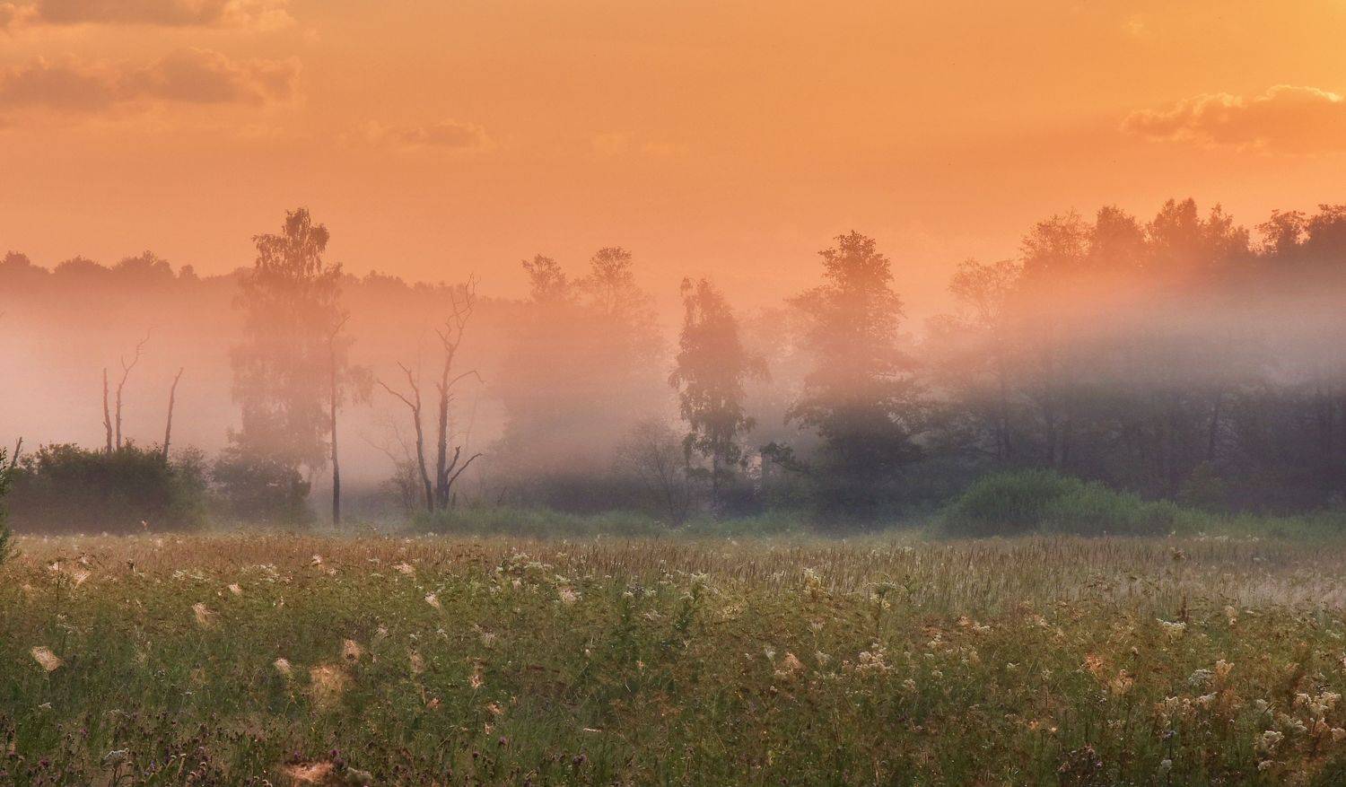 , Макеев Алексей