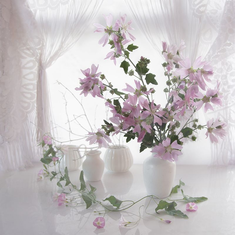 Натбрморт с алтеемphoto preview