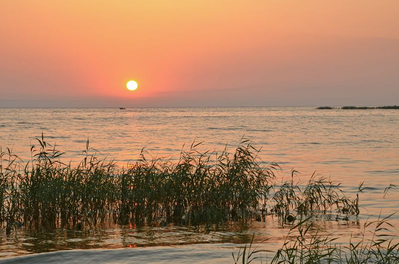 лето, июль, утро, рассвет, восход, река Жаркое утроphoto preview