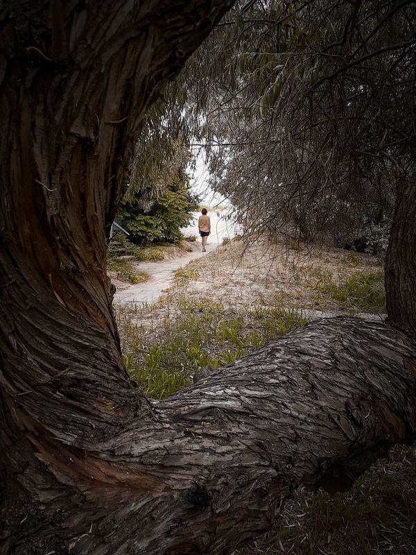 Стежка до моряphoto preview