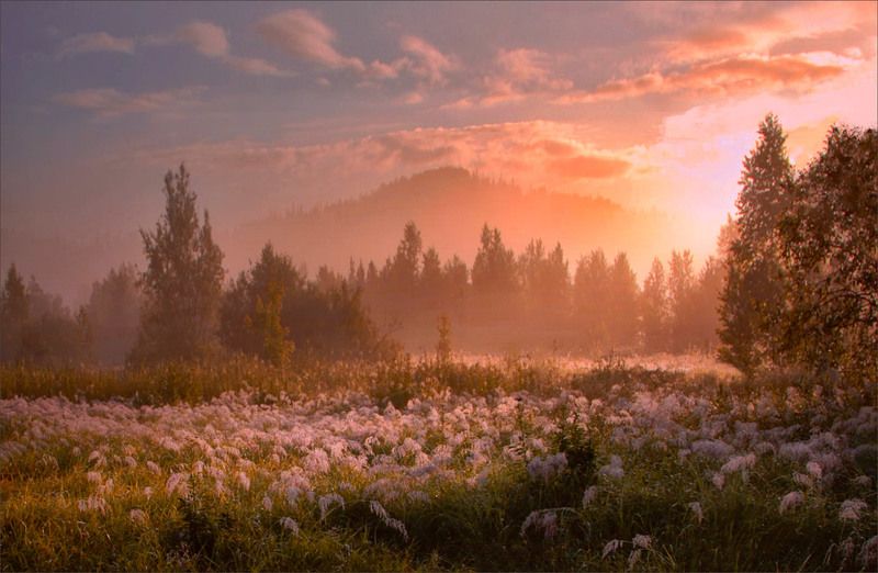 Затерянный крайphoto preview