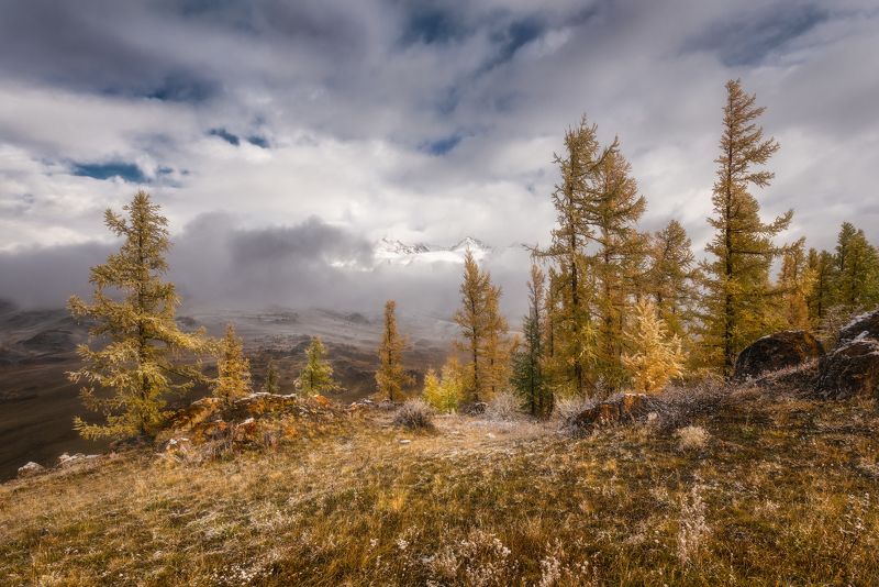 алтай, туман, курай, осень Наедине с осеньюphoto preview