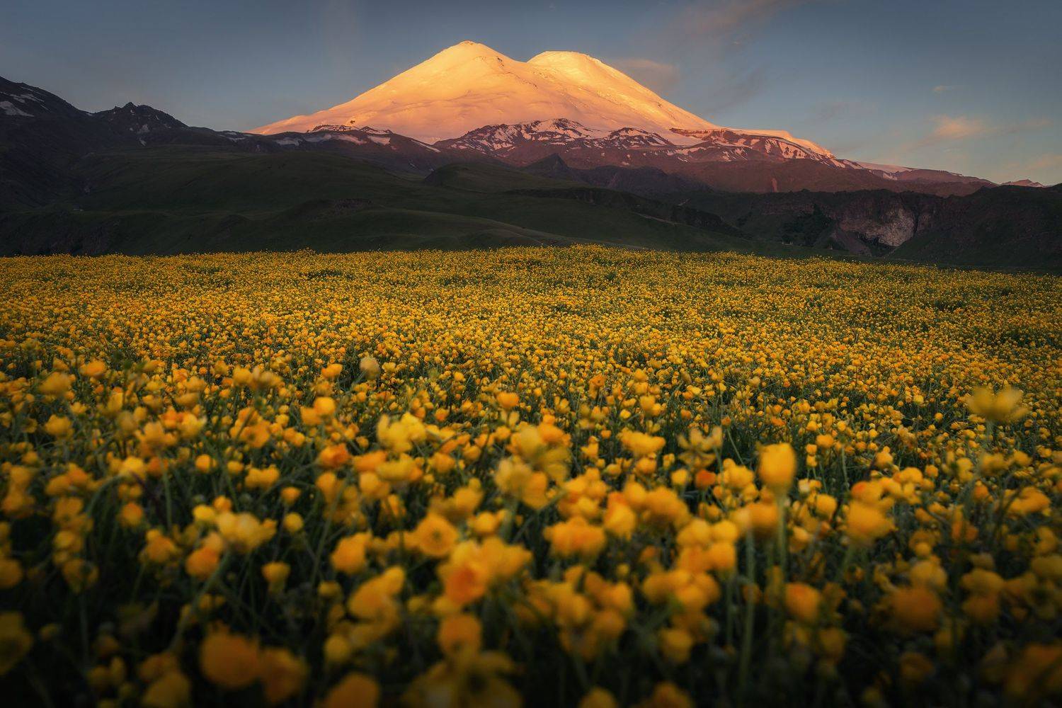 , Михаил Туркеев