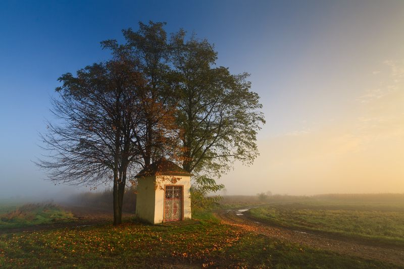 польша, осень, autumn, fall, season, mist, fog, poland, lesser poland, trees, village, golden hour,  tranquility, rural, countryside, chapel, outdoor, sunrise, morning, туман, heritage, ***photo preview