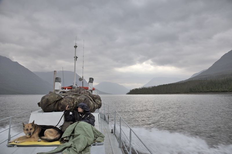 Путораны, Россия, Сибирь, озеро, катер, транспорт, собака, природа, шагнивнеизведанное Заброска по озеру Лама (Путораны, август 2012 г)photo preview