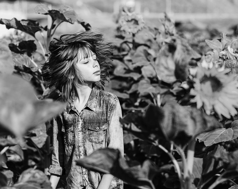 В подсолнухахphoto preview