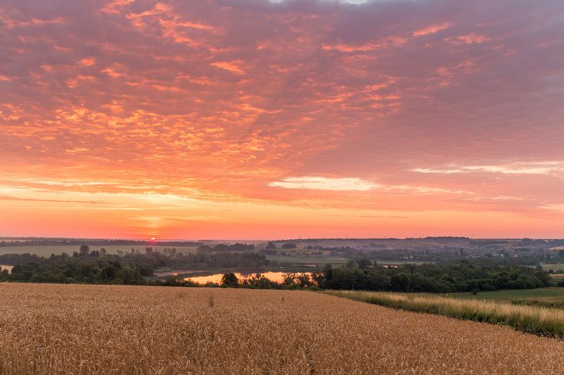 пейзаж, рассвет, лето, пруд, озеро, landscape, урожай, пшеничное поле, wheat field Harvesting time фото превью