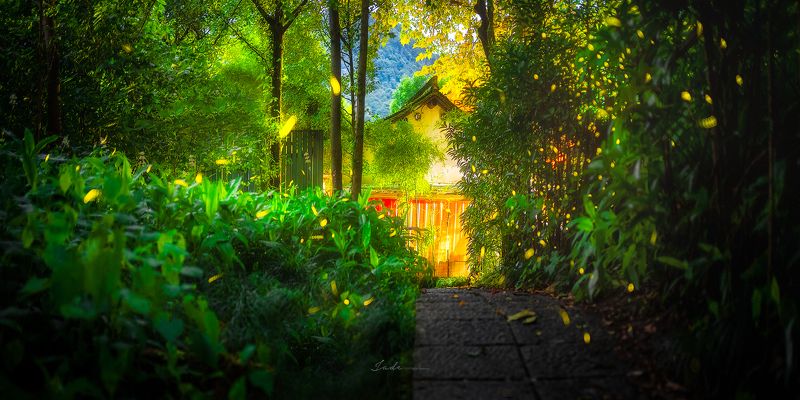 nature, landscape, animals, summer Summer Limitedphoto preview