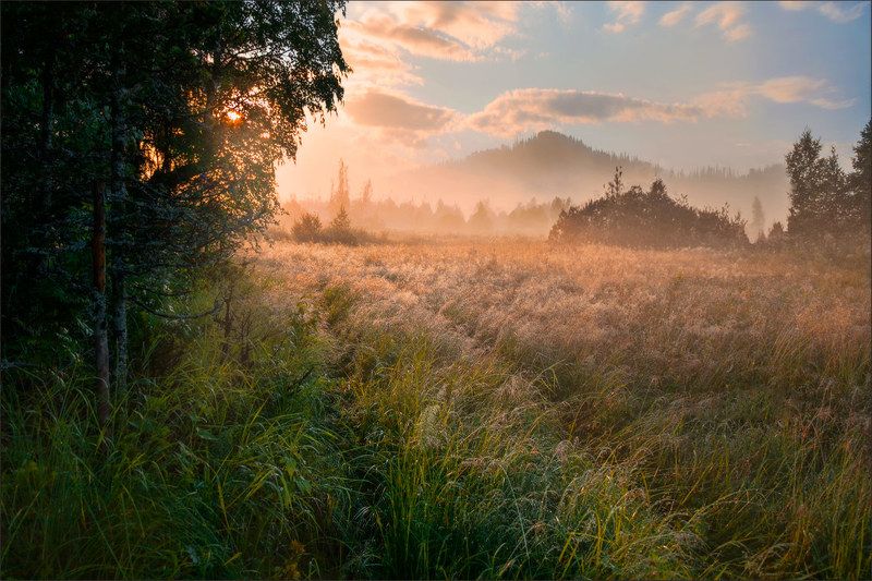 Рассвет туман утро Однажды утромphoto preview