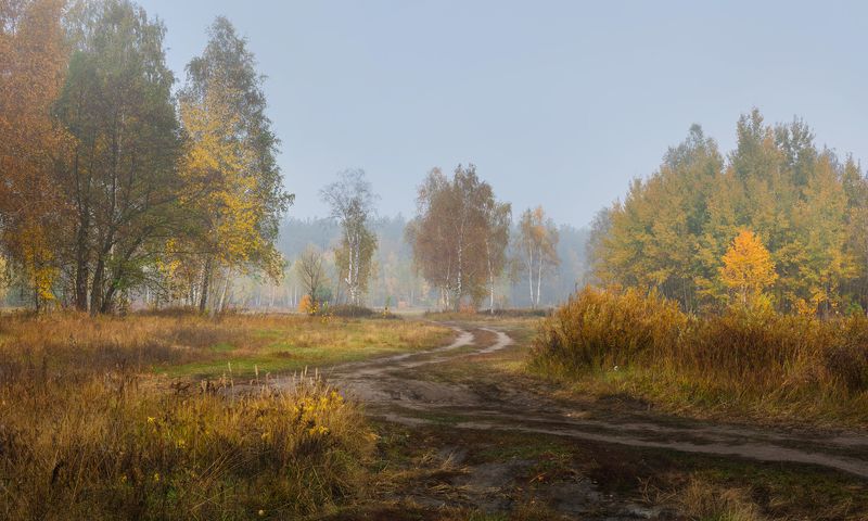 луг, осень, октябрь, утро И осень пьяная бредёт из тёмных чащ в осенние лугаphoto preview