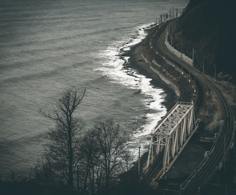 вода, дерево, дорога, море, мост, прибой пасмурный деньphoto preview