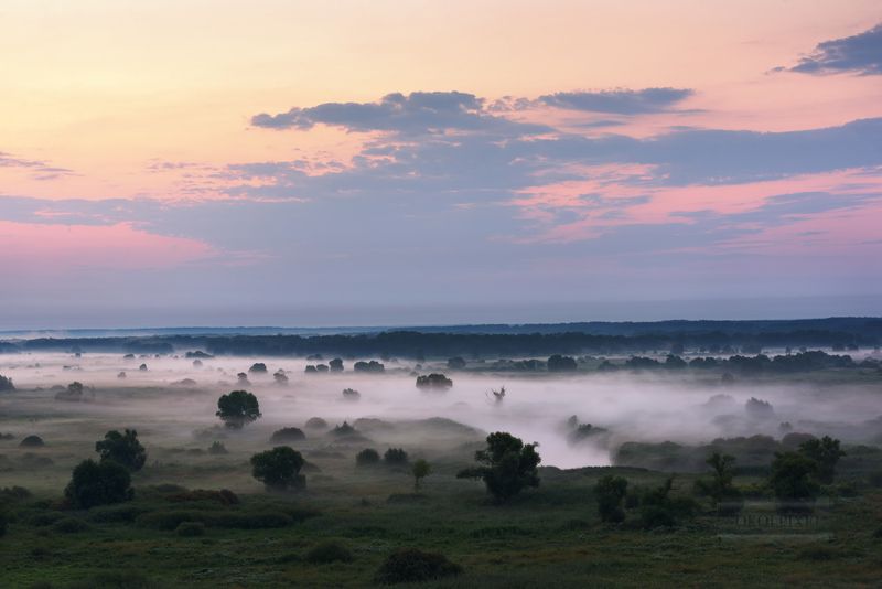 Молочные лугаphoto preview