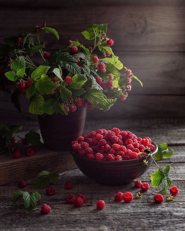 натюрморт малина ягоды фотонатюрморт Ягода малинаphoto preview